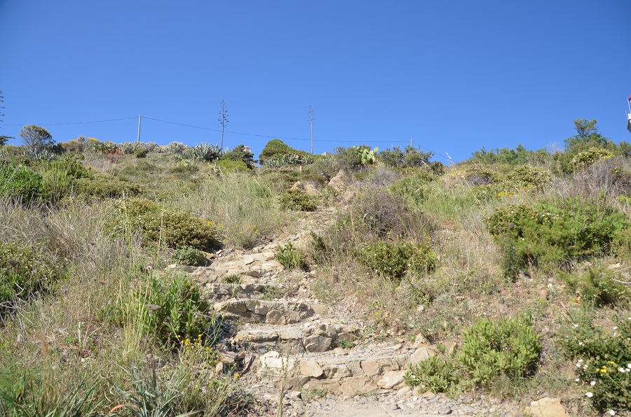 Sentier d'accès pour la plage de Ste Catherine à Port Vendres